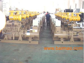 潍坊柴油发电机组 生产、销售与售后服务的全方位保障